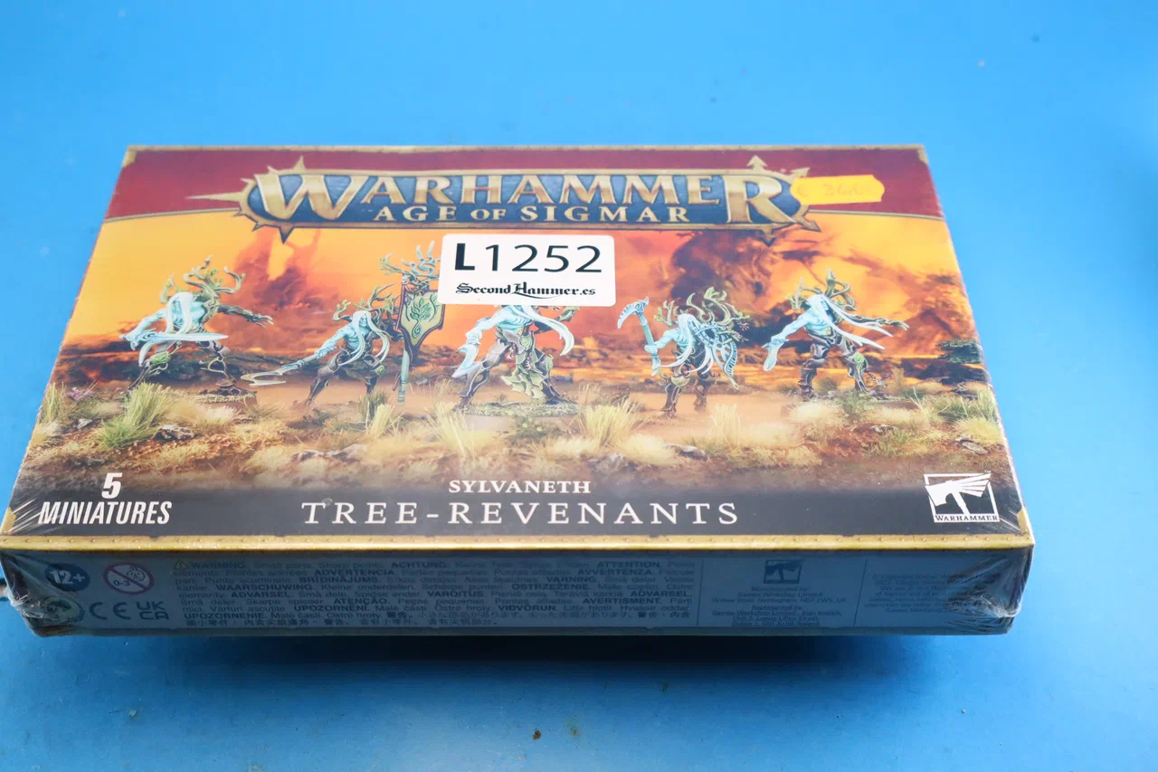 First slide