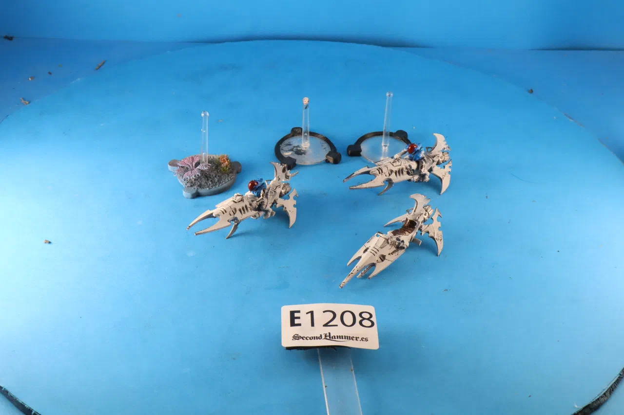 First slide